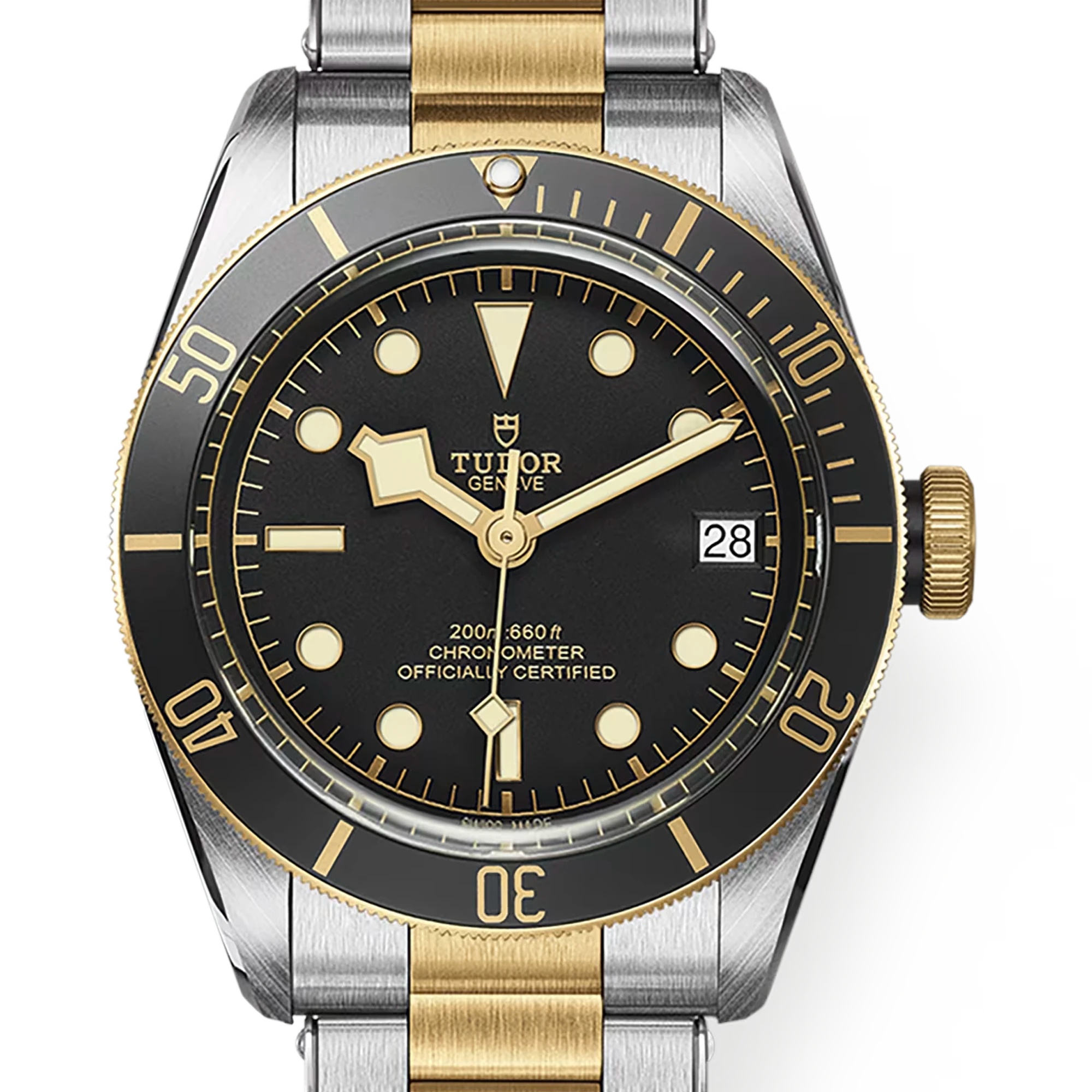 Tudor 帝舵 Black Bay S&G 79733 半金黑水鬼 黑金雙色潛水腕錶 2025年台灣公司貨 41mm 79733n