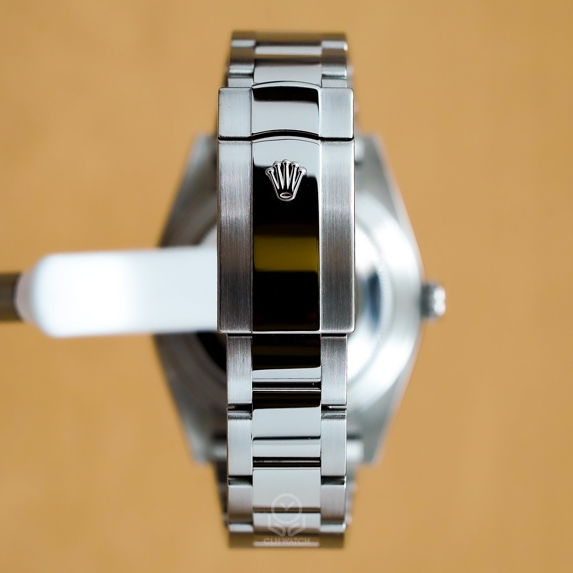 Rolex 勞力士 Datejust 41 126300 溫布頓面盤 綠羅馬 經典日曆腕錶 2019年台灣公司貨 DJ41mm