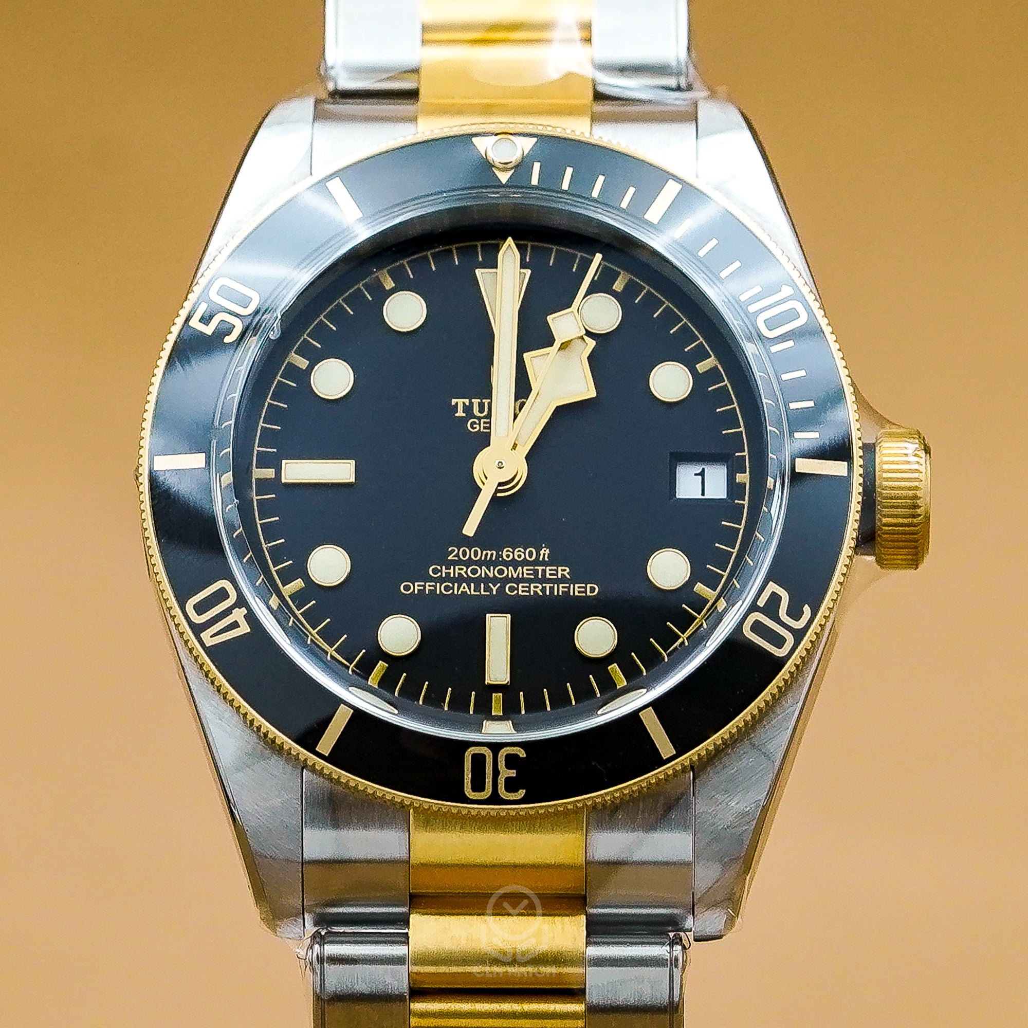 Tudor 帝舵 Black Bay S&G 79733 半金黑水鬼 黑金雙色潛水腕錶 2025年台灣公司貨 41mm 79733n
