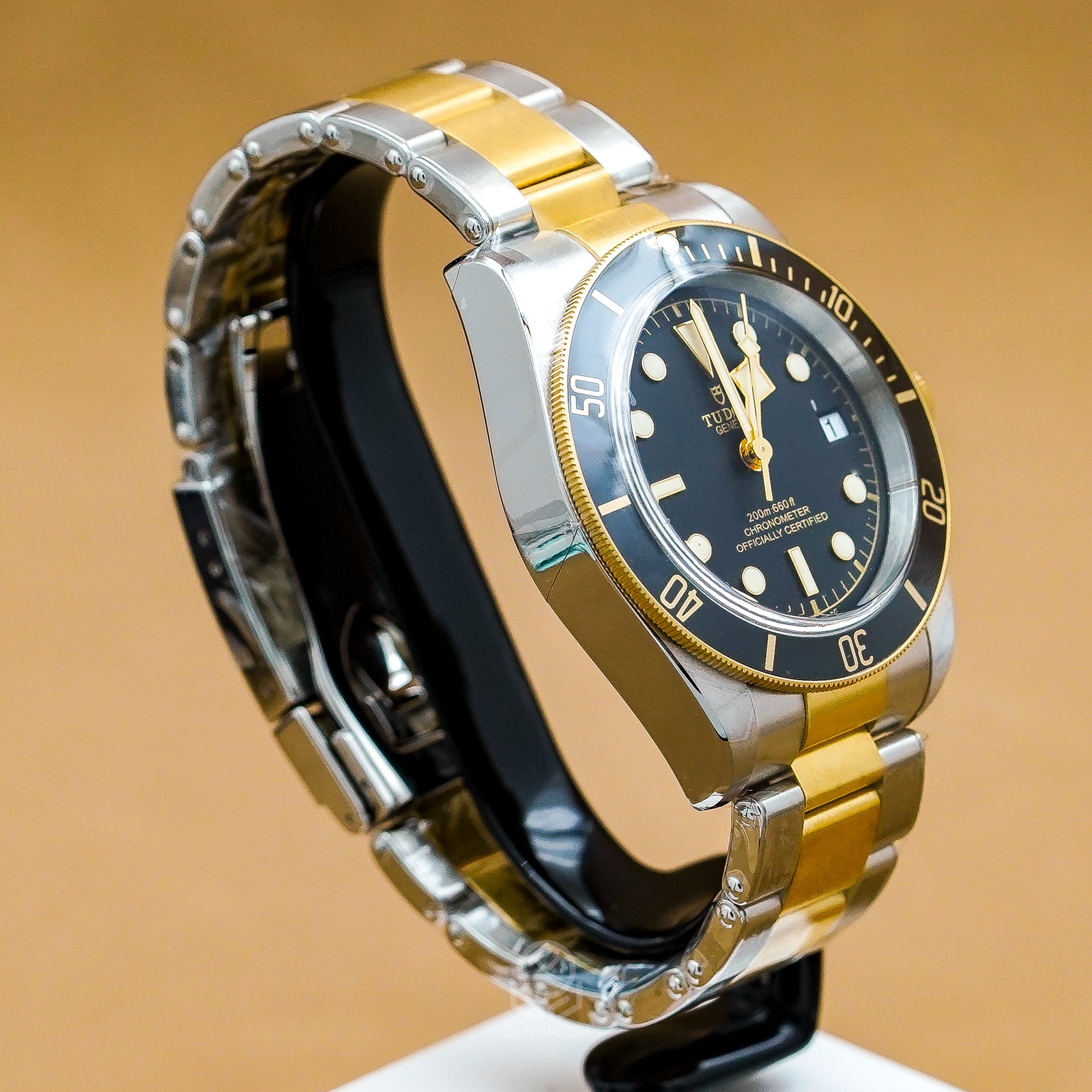 Tudor 帝舵 Black Bay S&G 79733 半金黑水鬼 黑金雙色潛水腕錶 2025年台灣公司貨 41mm 79733n