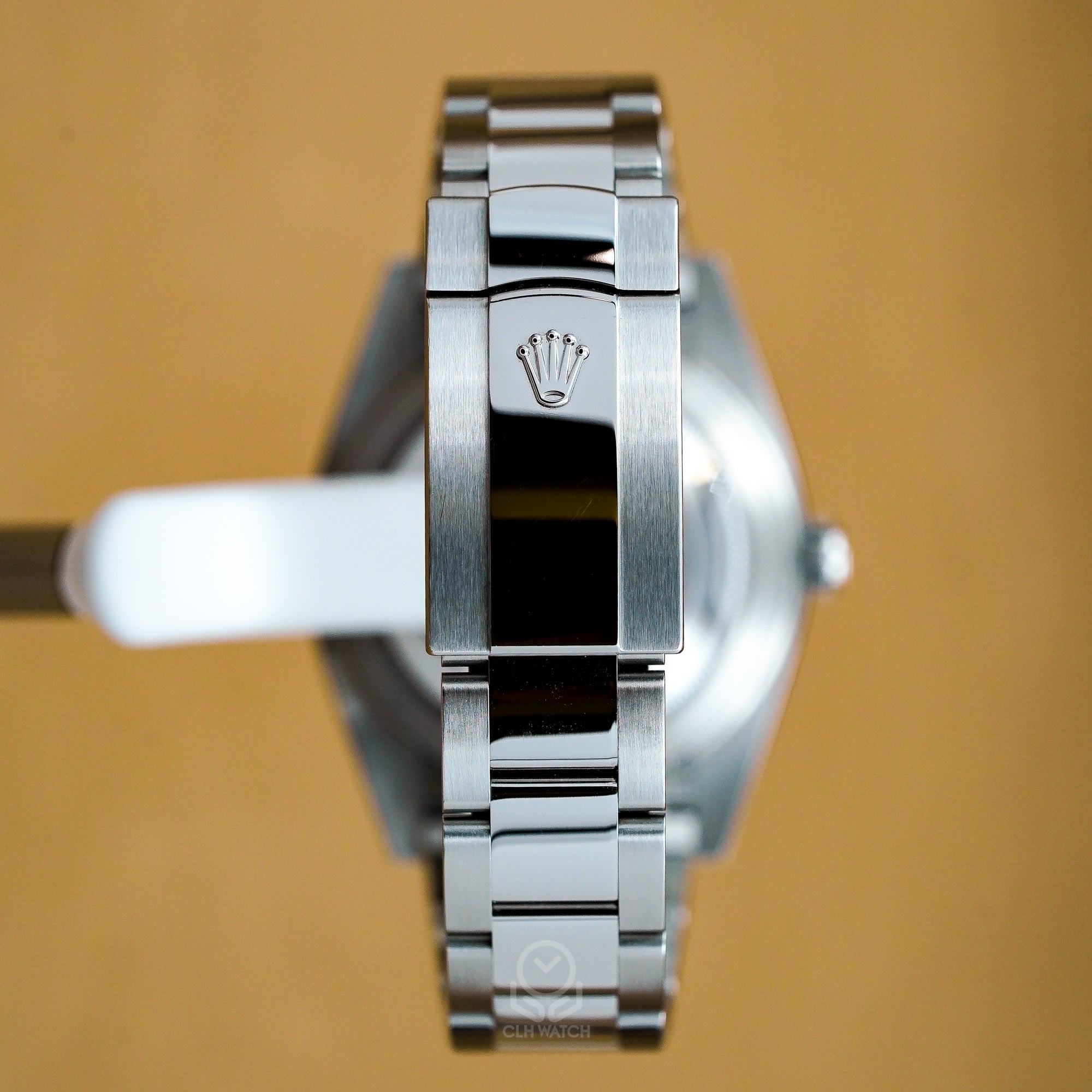 Rolex 勞力士 Datejust 41 系列 126300 白色羅馬面 蠔式三板帶 2024年 DJ41 DJ2