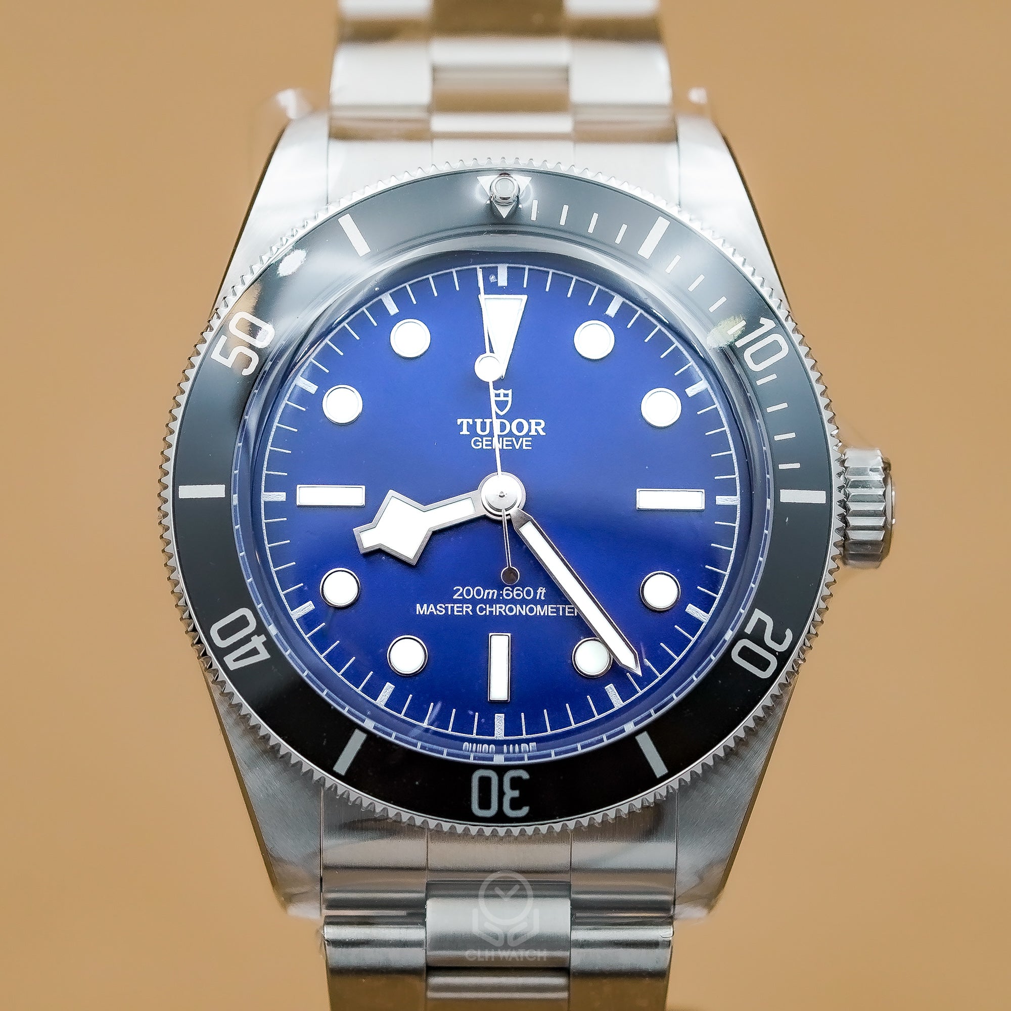 Tudor 帝舵 Black Bay 68 碧灣系列 M7943A1A0NU-0001 藍面水鬼 BB68 7943A 43mm 2026年7月台灣公司貨 未使用品