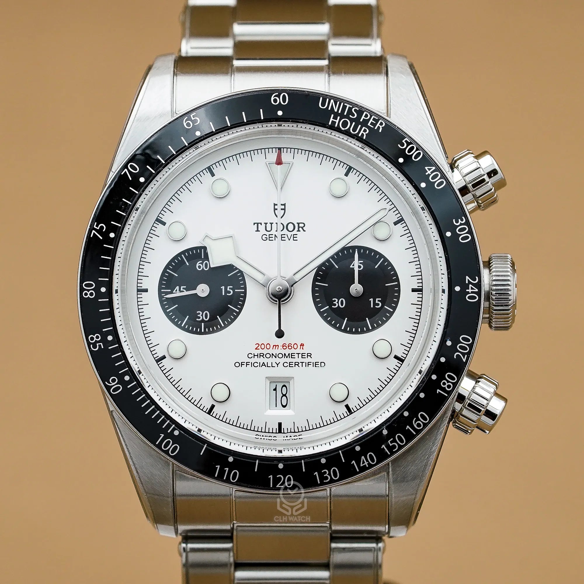 Tudor 帝舵 白熊貓 79360N Black Bay Chrono 周杰倫 計時機械錶 台灣公司貨(已交流)