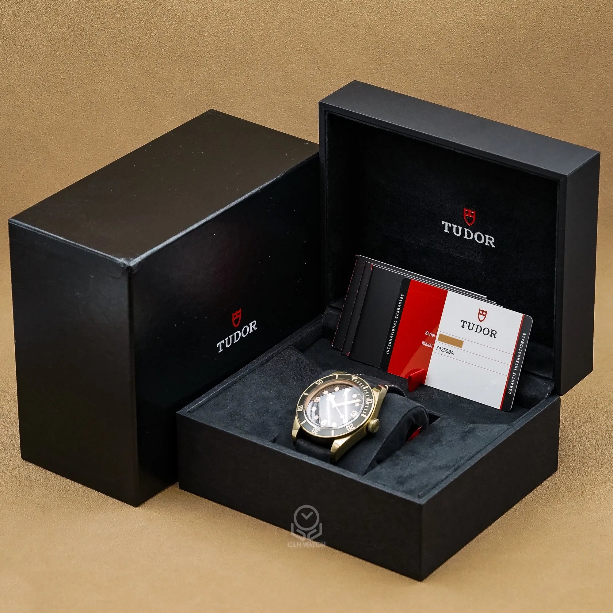 TUDOR 帝舵 Black Bay Bronze 79250BA 石板灰 青銅錶殼 銅錶 潛水錶 台灣公司貨