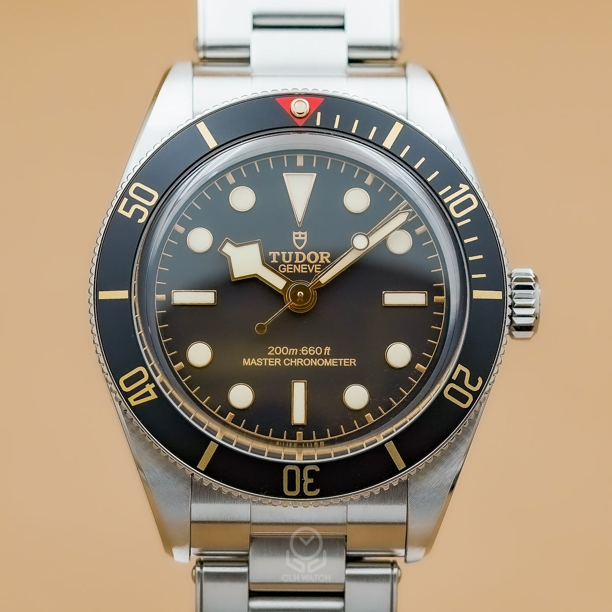 TUDOR Black Bay 58 M7939A1A0NU-0002 黑色面盤正面