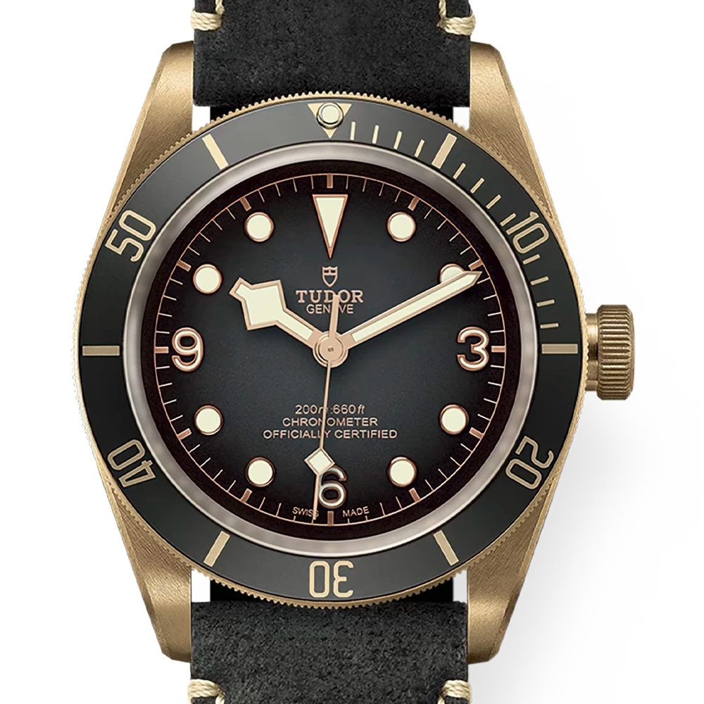 TUDOR 帝舵 Black Bay Bronze 79250BA 石板灰 青銅錶殼 銅錶 潛水錶 台灣公司貨