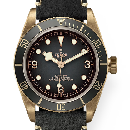 TUDOR 帝舵 Black Bay Bronze 79250BA 石板灰 青銅錶殼 銅錶 潛水錶 台灣公司貨