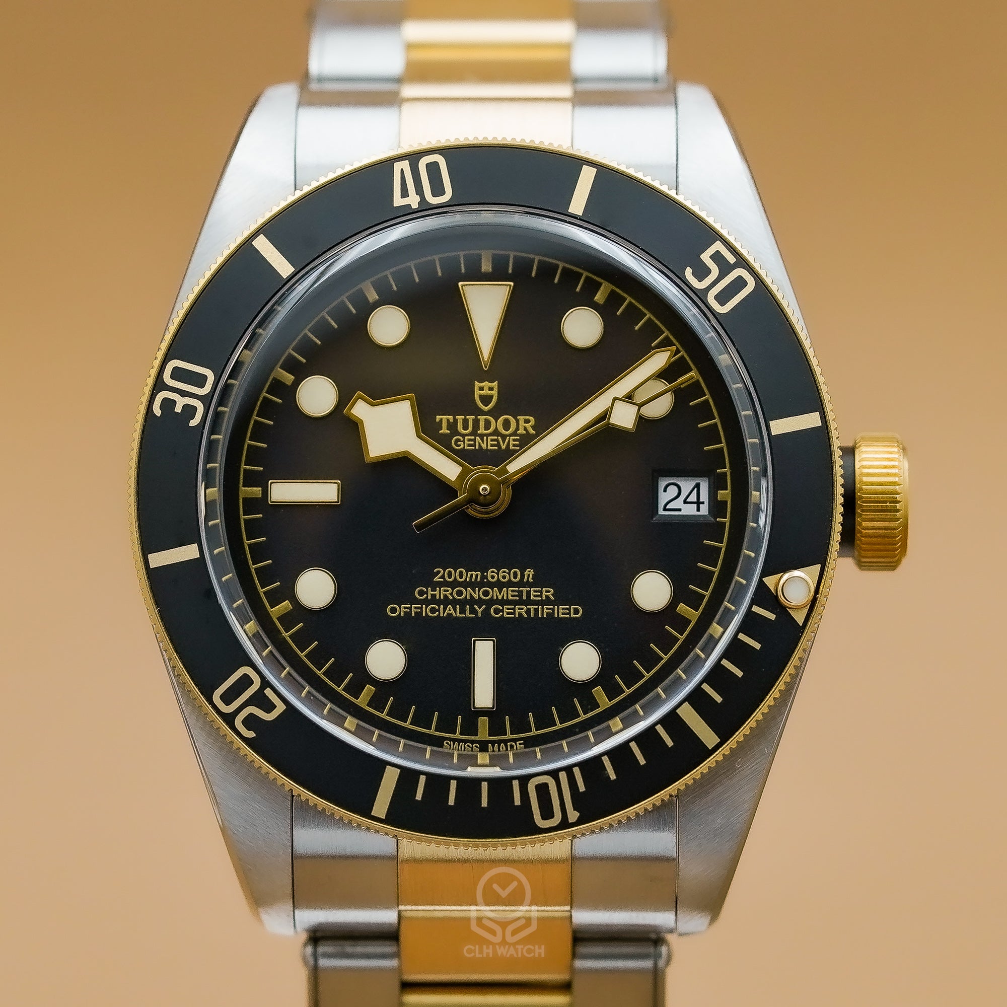 Tudor 帝舵 Black Bay S&G 79733 半金黑水鬼 黑金雙色潛水腕錶 2025年台灣公司貨 41mm 79733n
