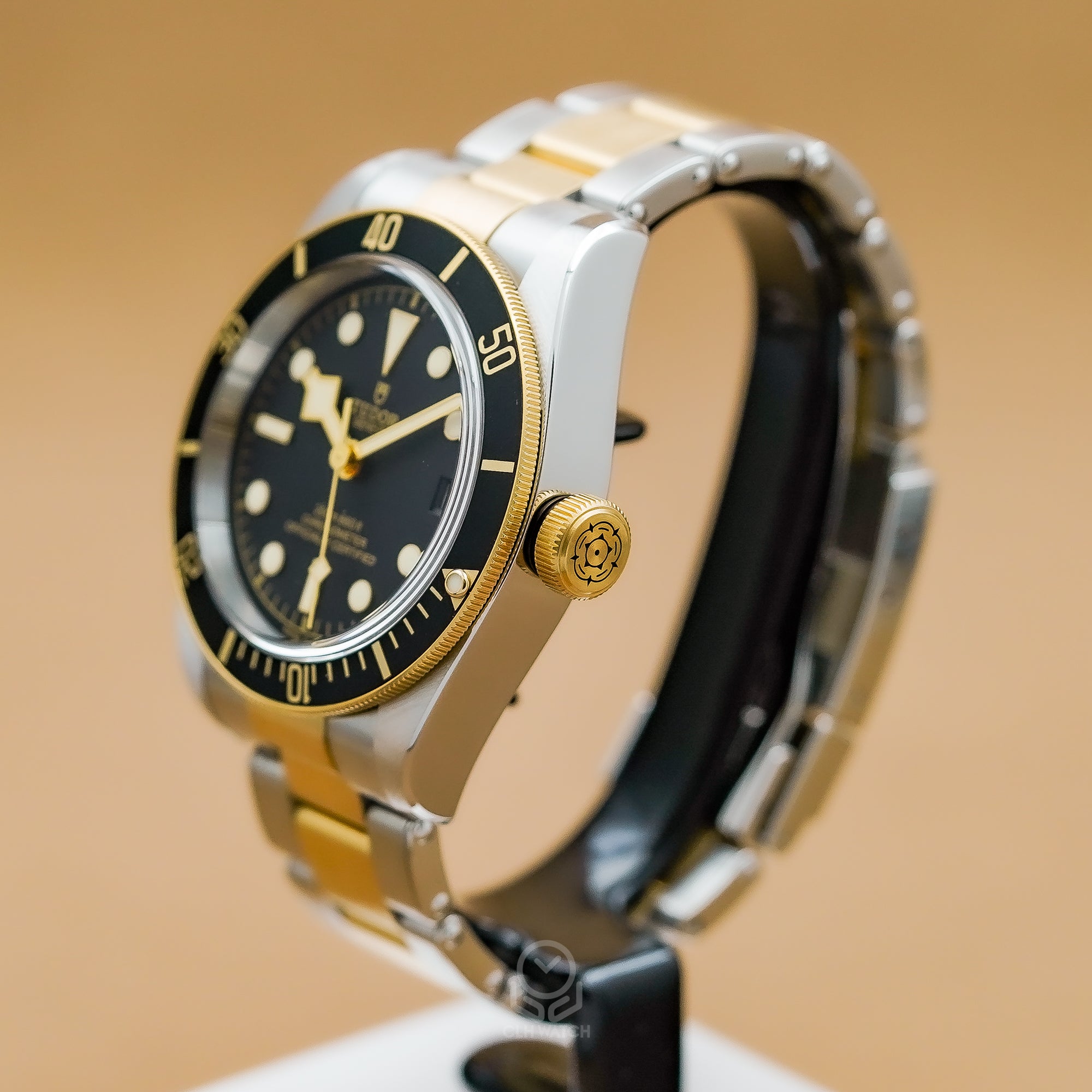 Tudor 帝舵 Black Bay S&G 79733 半金黑水鬼 黑金雙色潛水腕錶 2025年台灣公司貨 41mm 79733n