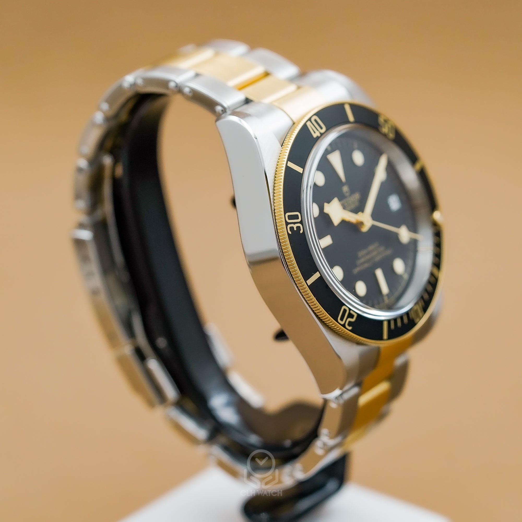 Tudor 帝舵 Black Bay S&G 79733 半金黑水鬼 黑金雙色潛水腕錶 2025年台灣公司貨 41mm 79733n