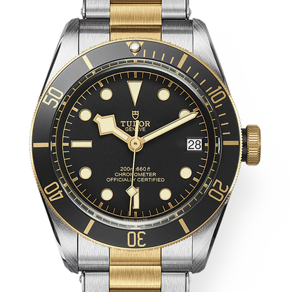 Tudor 帝舵 Black Bay S&G 79733 半金黑水鬼 黑金雙色潛水腕錶 2025年台灣公司貨 41mm 79733n