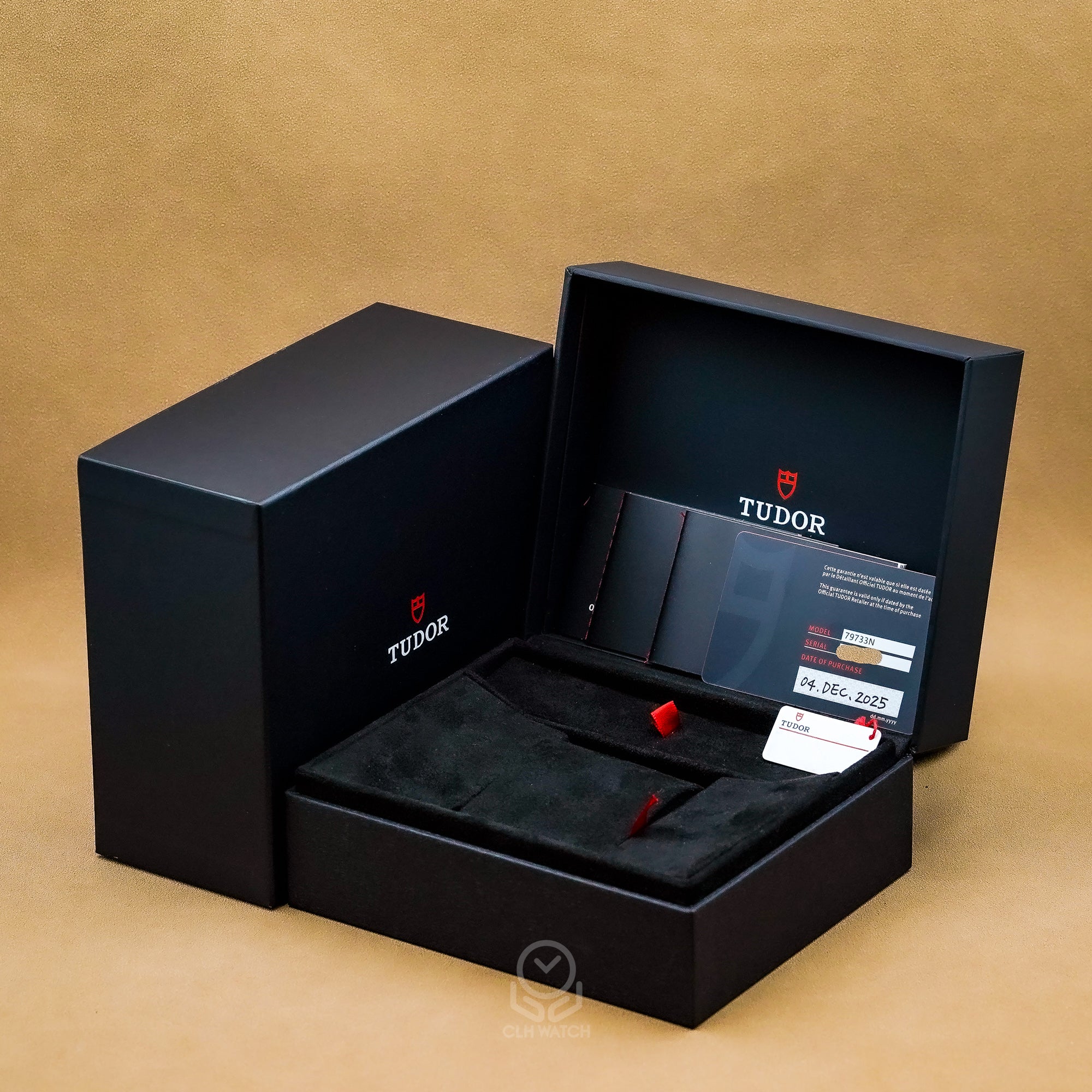 Tudor 帝舵 Black Bay S&G 79733 半金黑水鬼 黑金雙色潛水腕錶 2025年台灣公司貨 41mm 79733n