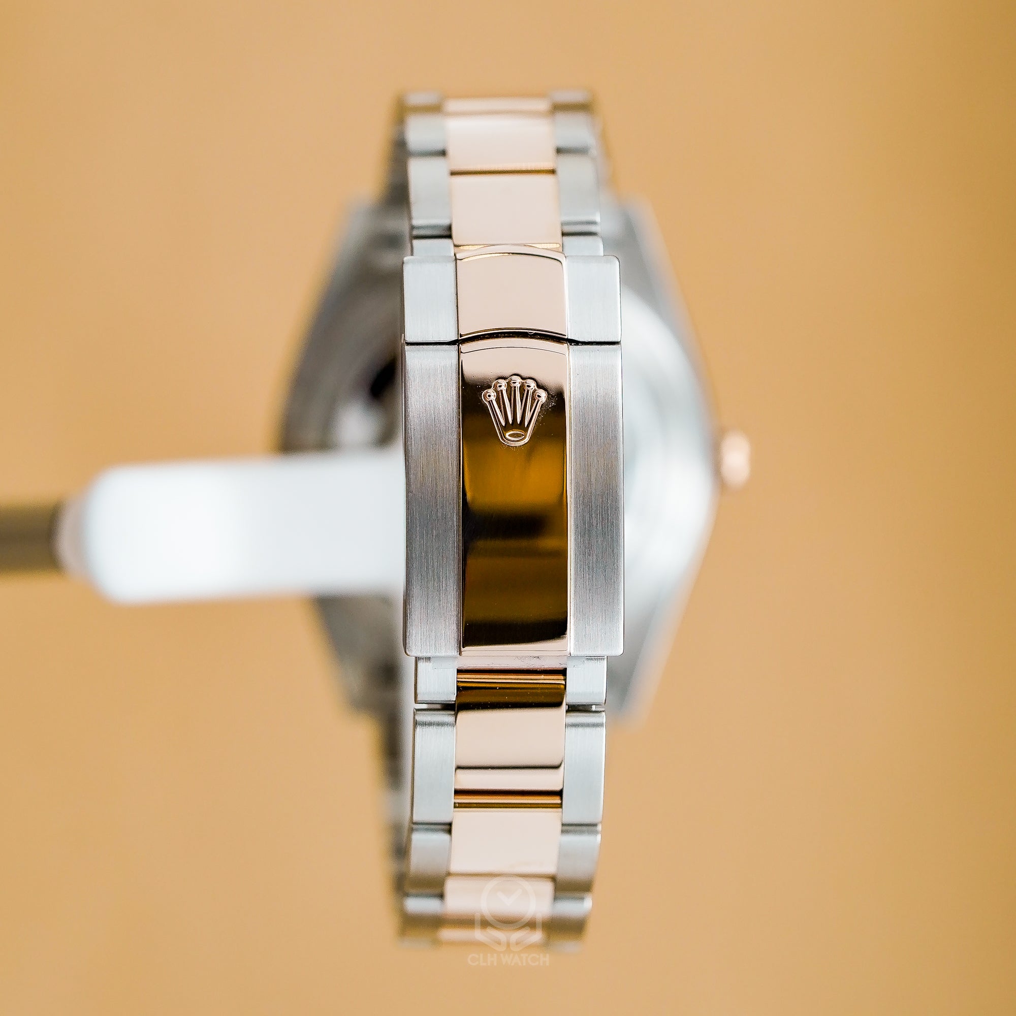 Rolex 勞力士 蠔式恒動日誌型 Datejust II 126301G 玫瑰金半金 巧克力面 鑽石時標 DJ 41mm 2025年 台灣公司貨 95%新
