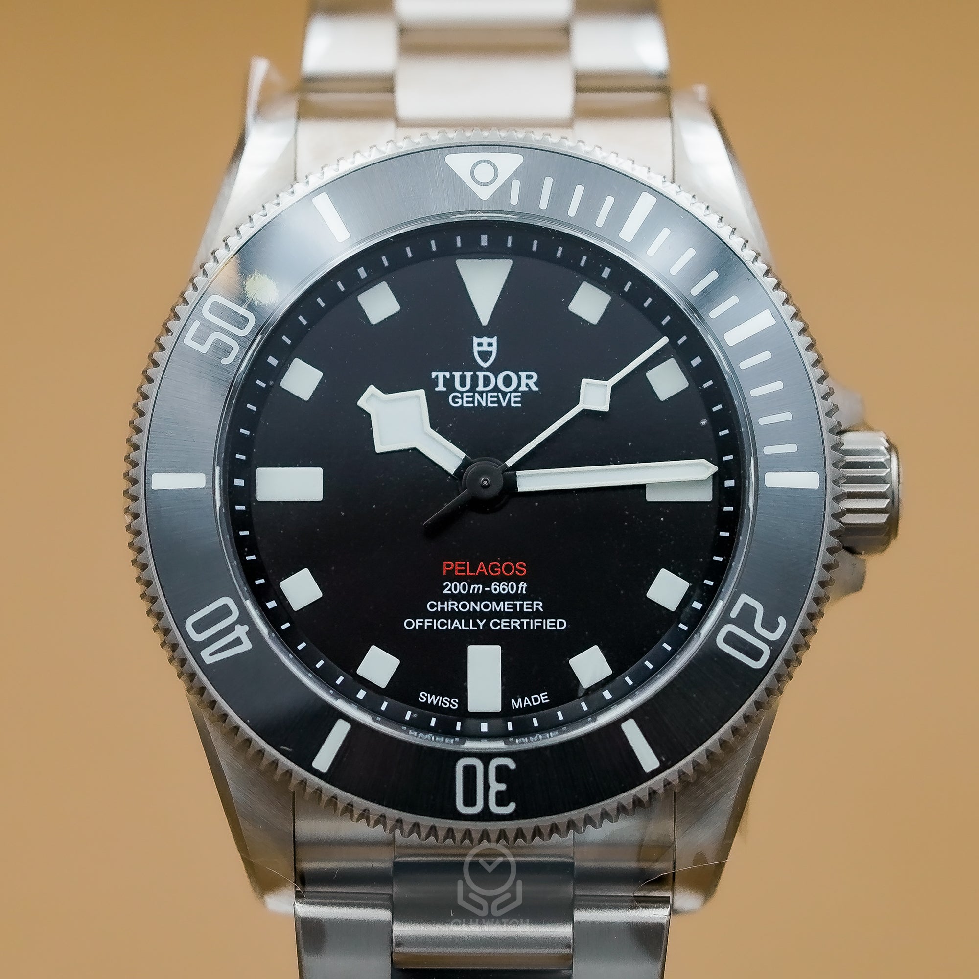 Tudor 帝舵 Pelagos 領潛型 25407 Pelagos 39 M25407N-0001 黑面 39mm 2026年7月台灣公司貨 未使用品