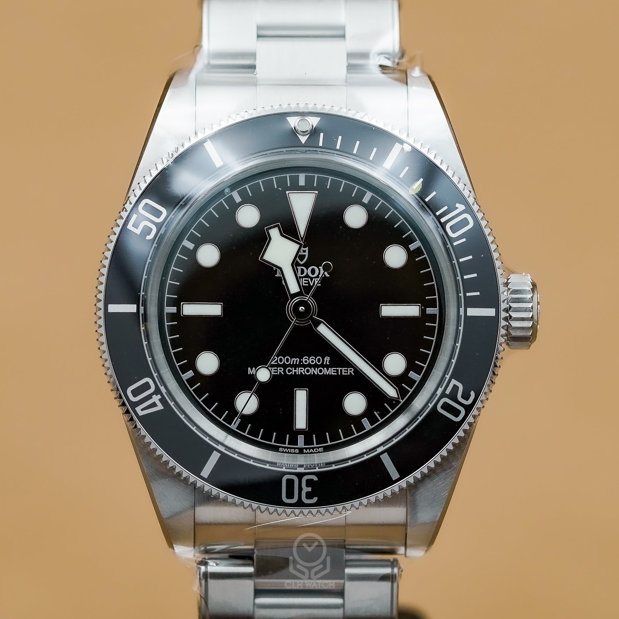 Tudor 帝舵 Black Bay 碧灣系列 M7941A1A0NU-0001 黑水鬼 7941A 41mm 2026年7月台灣公司貨 未使用品