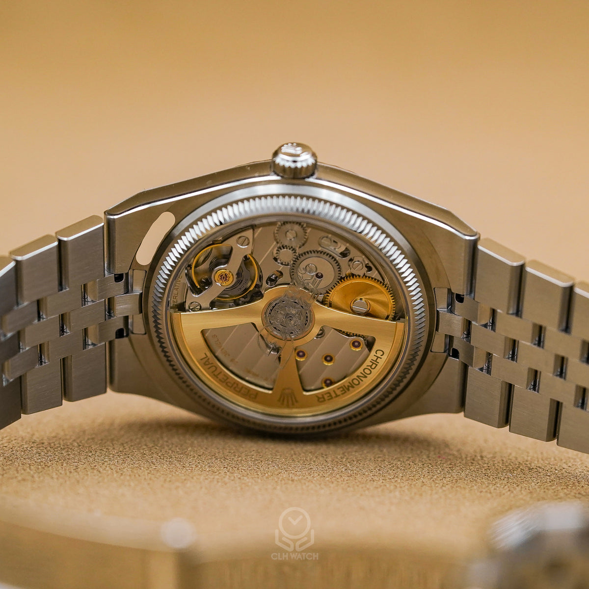 Rolex 勞力士 Land-Dweller 36 127234 陸行者 白蜂巢 18K白黃金 36mm 2026年台灣公司貨 99%新 已上RX8頂級保護膜