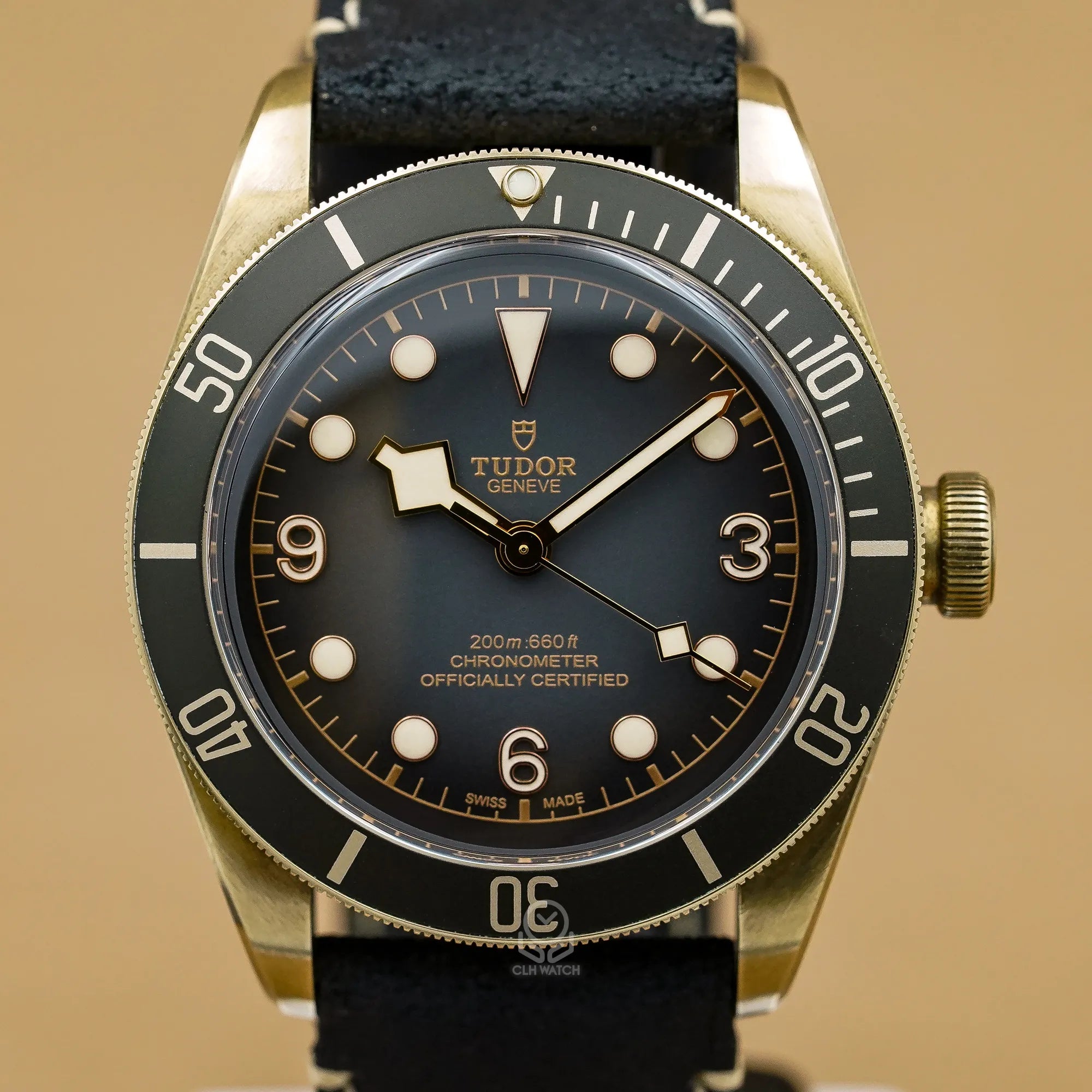 TUDOR 帝舵 Black Bay Bronze 79250BA 石板灰 青銅錶殼 銅錶 潛水錶 台灣公司貨