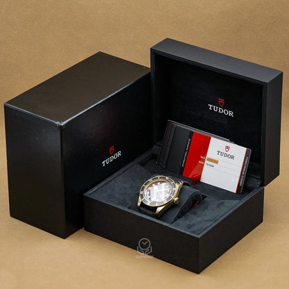 TUDOR 帝舵 Black Bay Bronze 79250BA 石板灰 青銅錶殼 銅錶 潛水錶 台灣公司貨