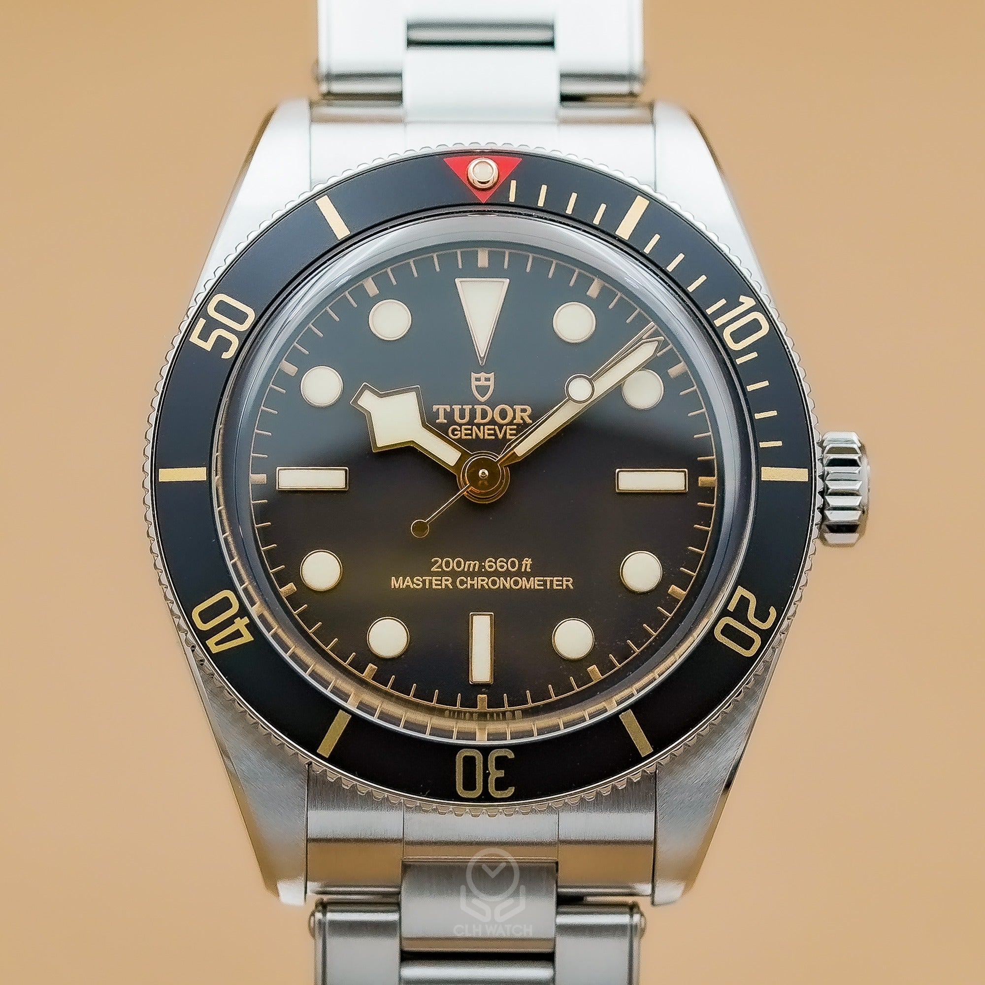TUDOR Black Bay 58 M7939A1A0NU-0002 黑色面盤正面