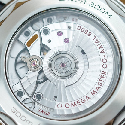OMEGA 歐米茄 海馬系列 Seamaster 潛水錶 300 210.32.42.20.04.001 21032422004001 白面 42mm（已交流）