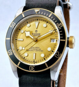 Tudor 帝舵 79733n 半金水鬼 BLACK BAY S&G 半金 香檳面 單錶頭原裝正品